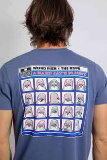 Jay's Flight RSPB Artist T-Shirt Collaboration Mid Blue