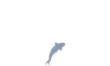 untitled-1-01.png