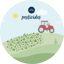 gs infographic pesticides-13.jpg