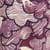 Kimberley Printed  Jersey 3/4 Sleeve Tunic Dark Wine